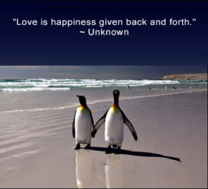 happy pinguins